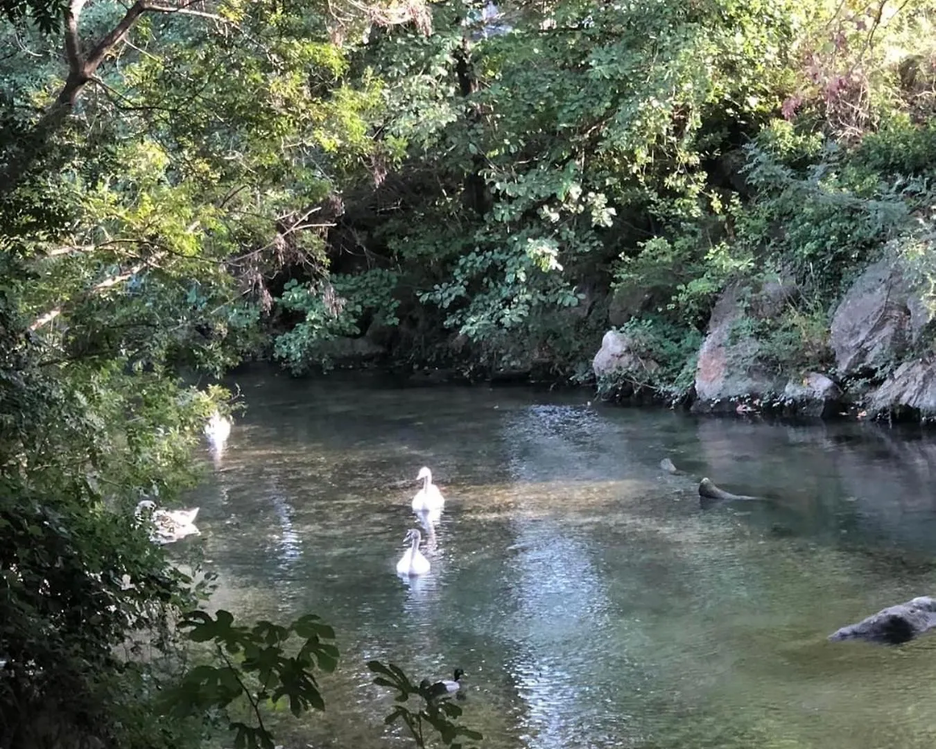 Parc Baie Des Anges Apartment Villeneuve-Loubet